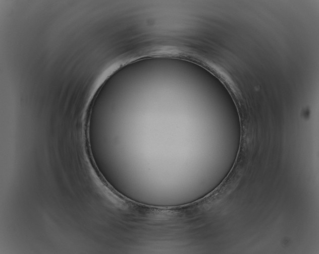 X0000091091475200708271246