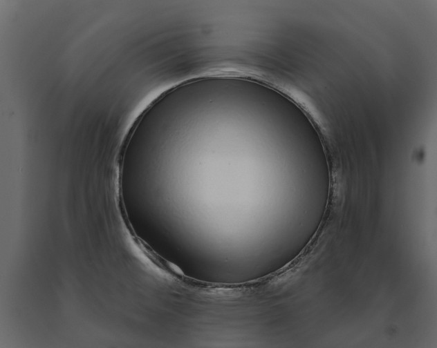 X0000091091476200708271246