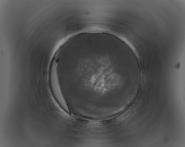 X0000091091477200708271246