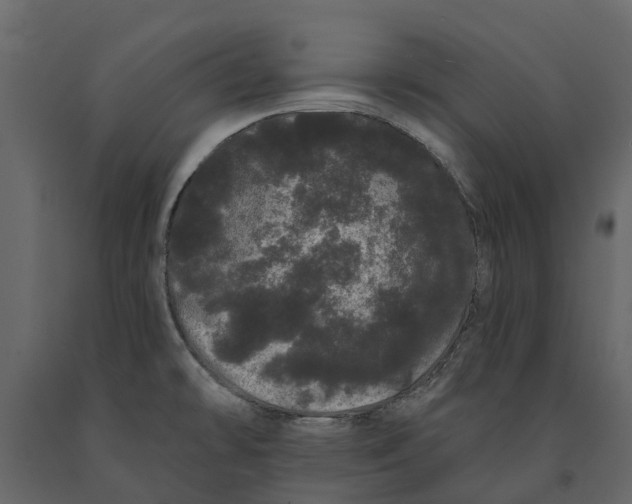 X0000091091478200708271246