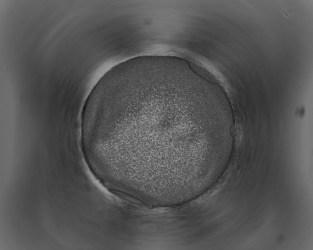 X0000091091479200708271246