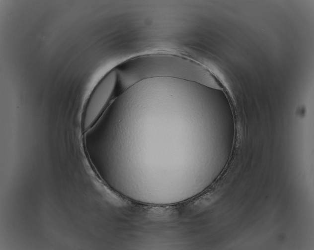 X0000091091480200708271246