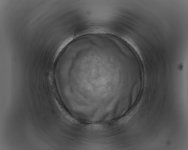 X0000091091481200708271246