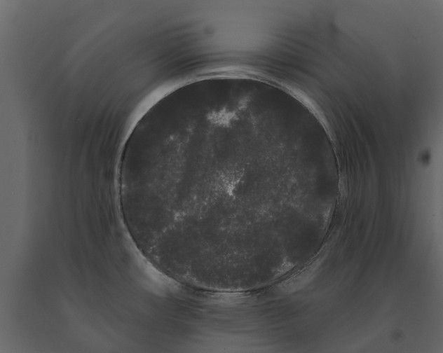 X0000091091482200708271246