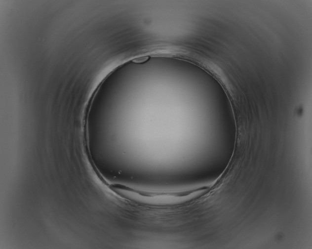 X0000091091483200708271246