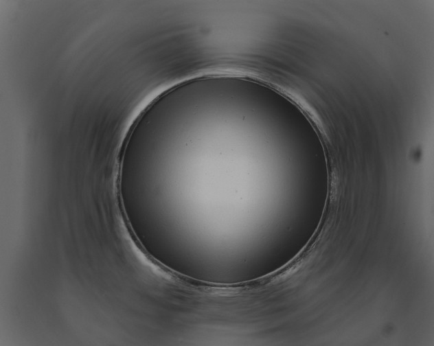 X0000091091484200708271246