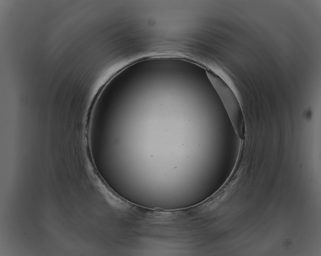 X0000091091485200708271246