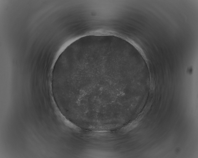 X0000091091486200708271246