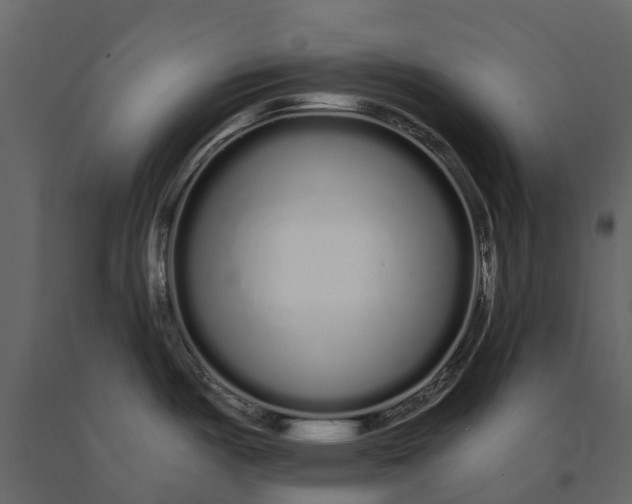 X0000091091487200708271246