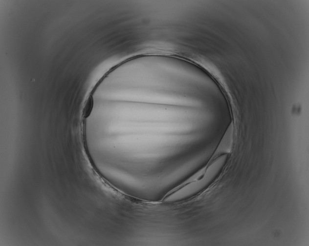 X0000091091488200708271246