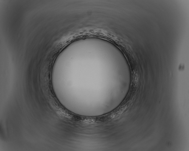 X0000091091489200708271245