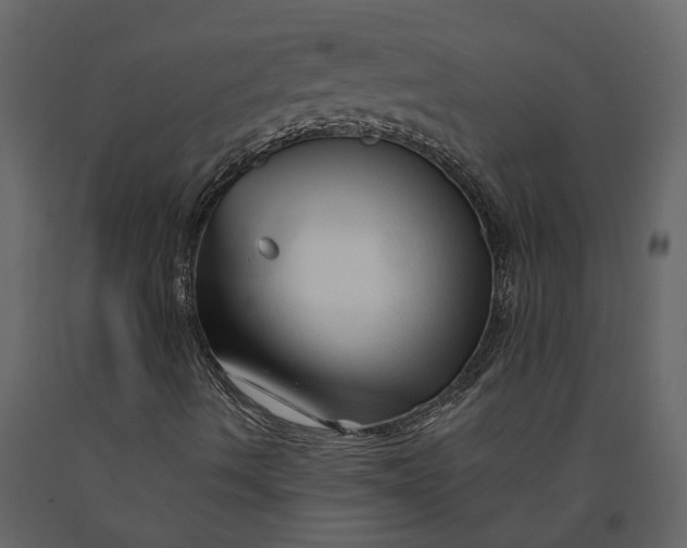 X0000091091490200708271245