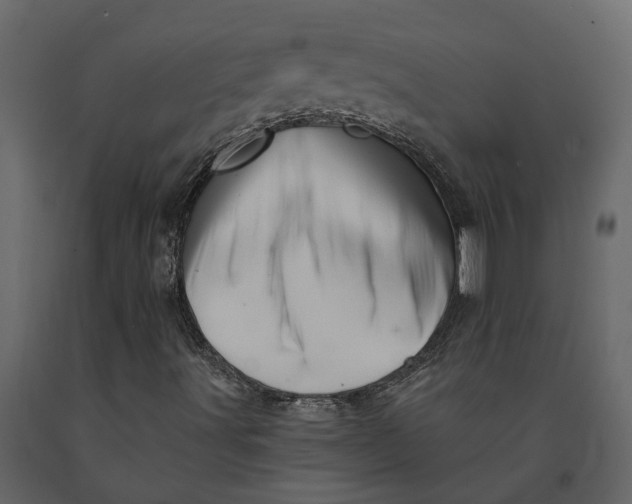 X0000091091491200708271245