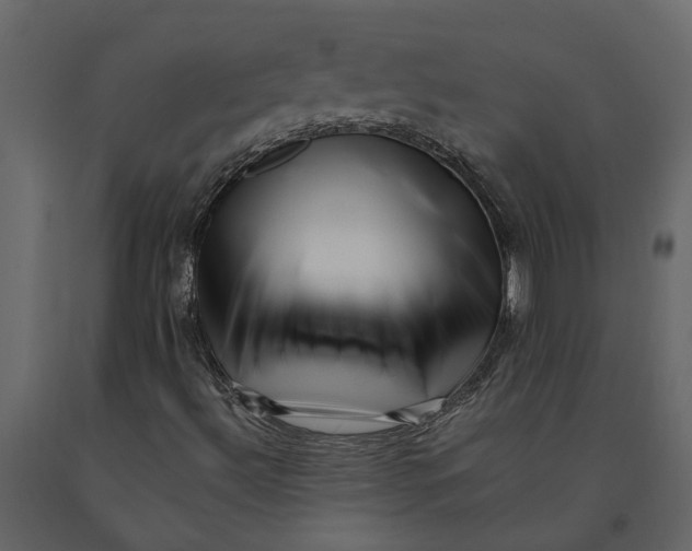 X0000091091492200708271245