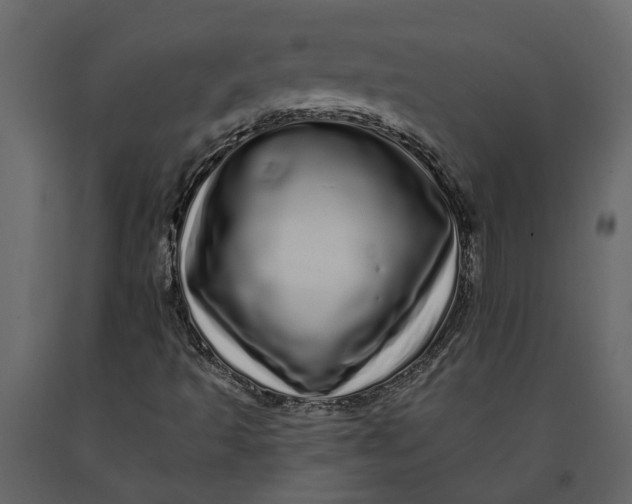 X0000091091493200708271245