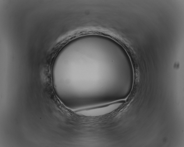 X0000091091494200708271245