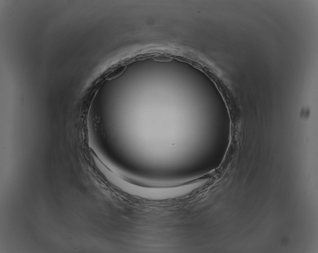 X0000091091496200708271245