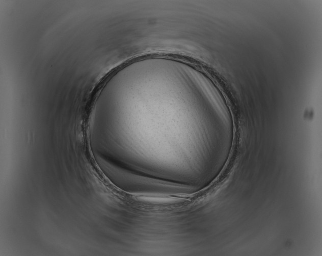 X0000091091497200708271245