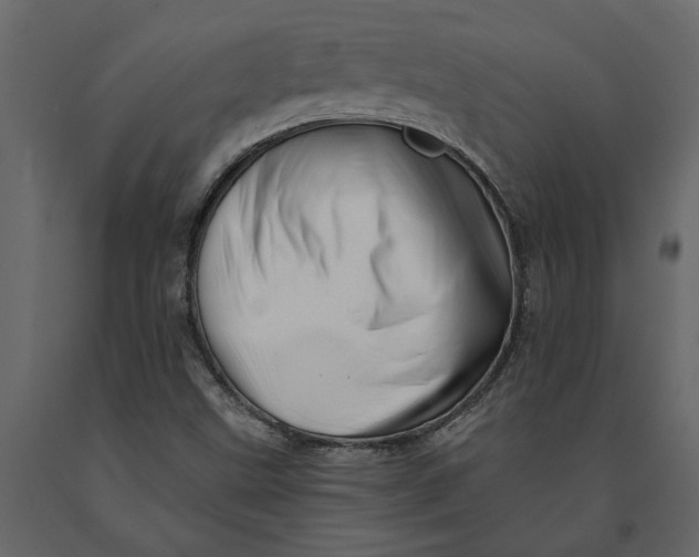 X0000091091499200708271245