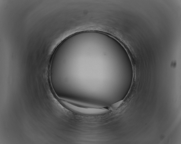 X0000091091500200708271245