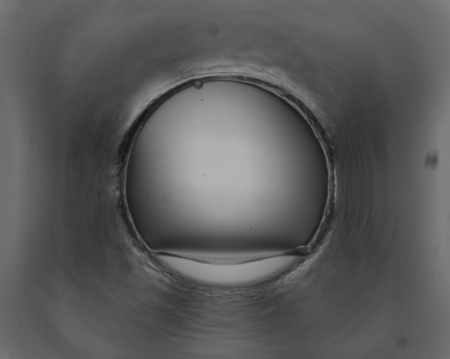 X0000091091501200708271245