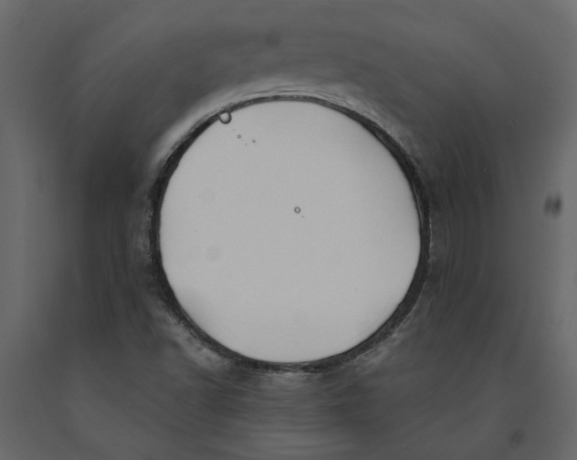 X0000091091502200708271245