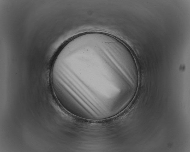 X0000091091503200708271245