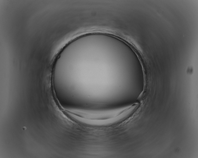 X0000091091504200708271245