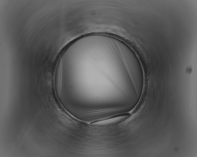 X0000091091505200708271245