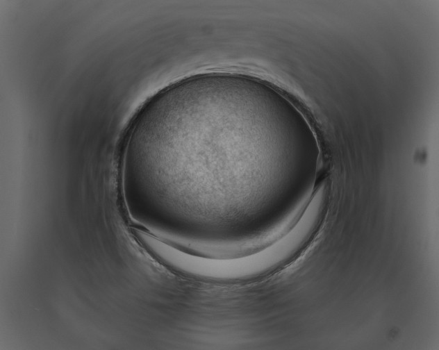 X0000091091506200708271245