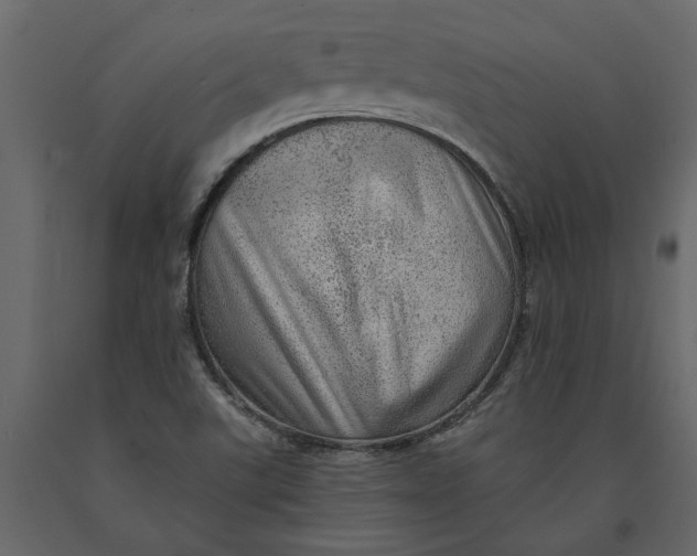 X0000091091507200708271245