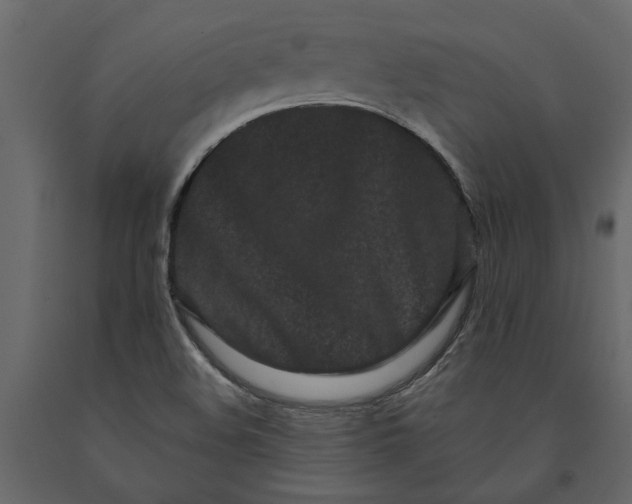 X0000091091508200708271245