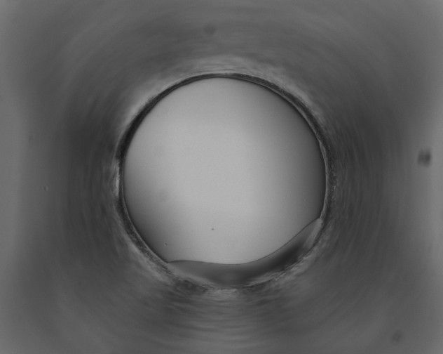 X0000091091509200708271245