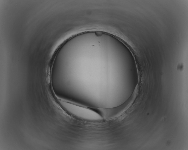 X0000091091510200708271245