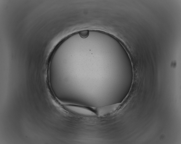 X0000091091511200708271245