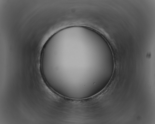 X0000091091512200708271245