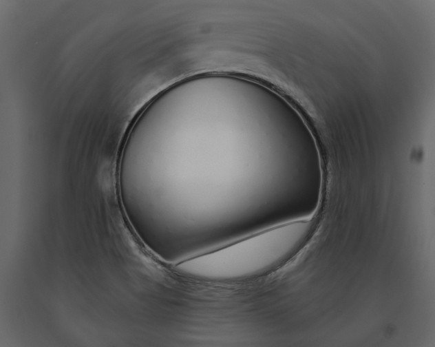 X0000091091513200708271245