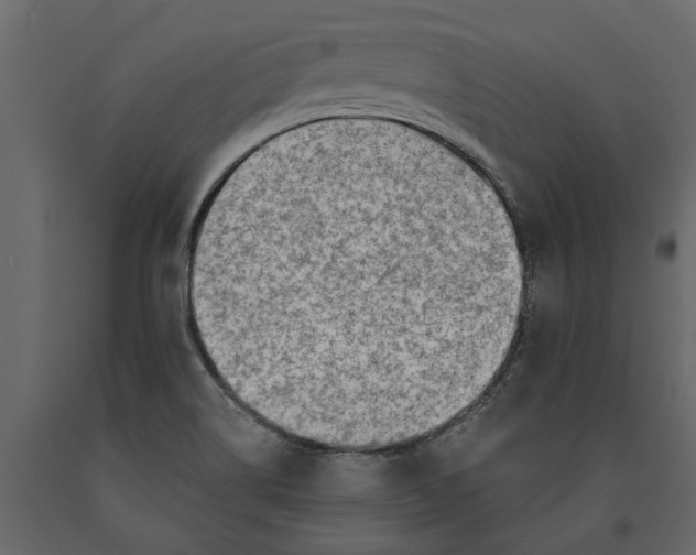 X0000091091514200708271245