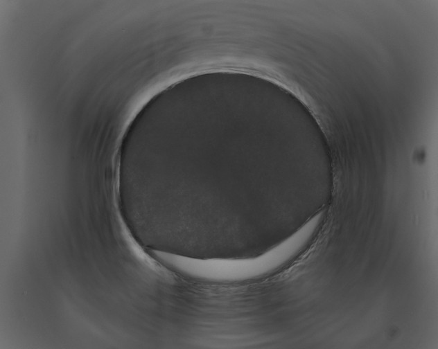 X0000091091515200708271246