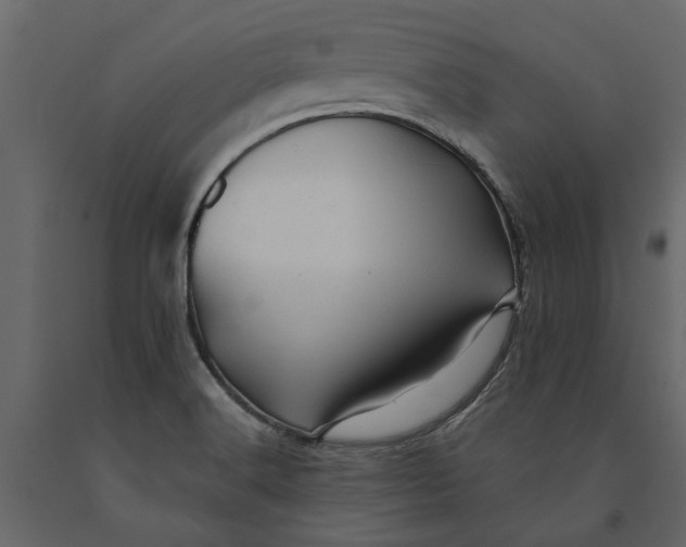 X0000091091516200708271246