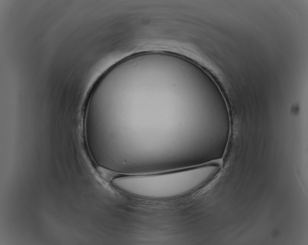 X0000091091517200708271246