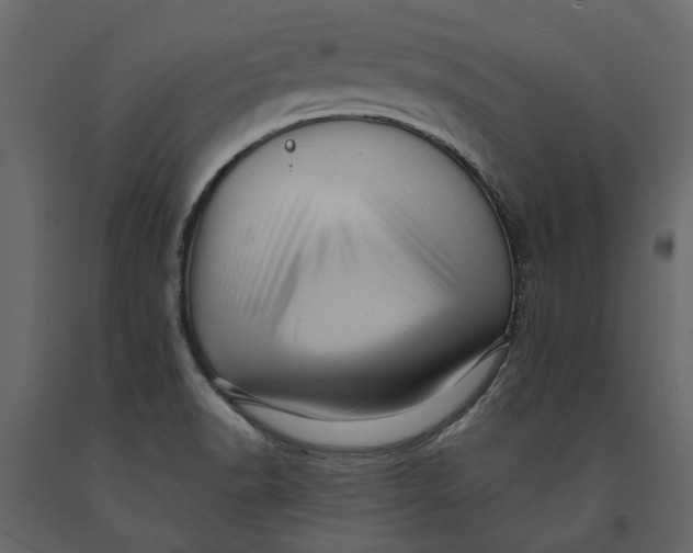 X0000091091518200708271246