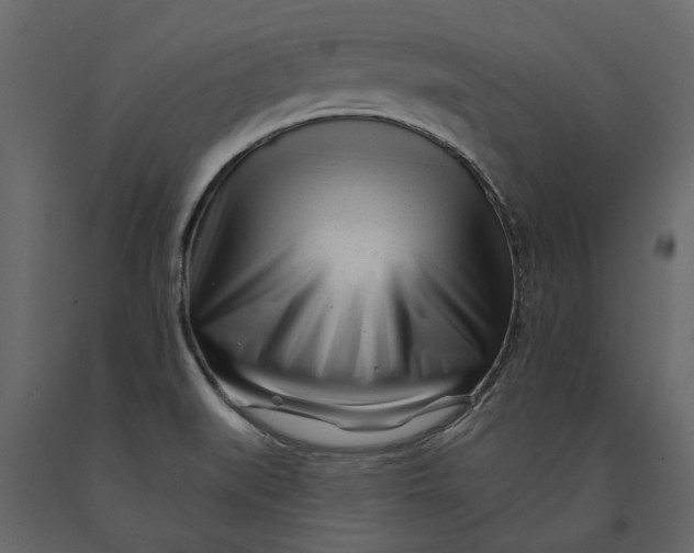 X0000091091519200708271246