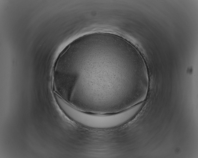 X0000091091520200708271246