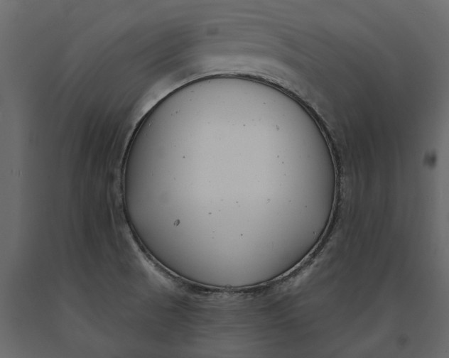 X0000091091521200708271246