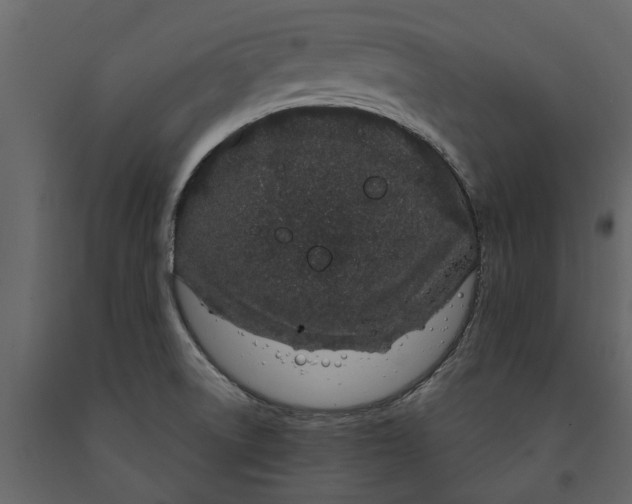 X0000091091522200708271246