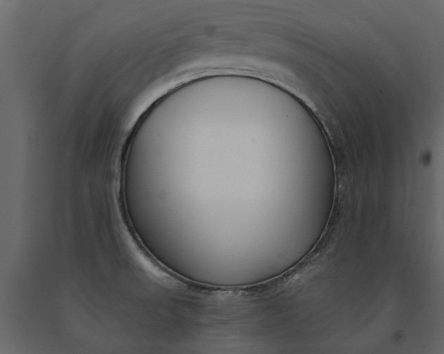 X0000091091523200708271246