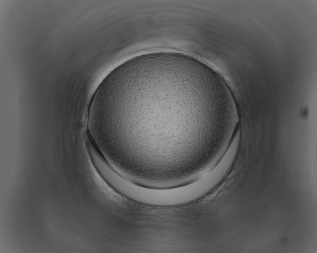 X0000091091524200708271246