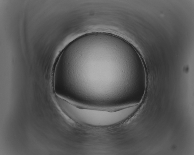 X0000091091525200708271246