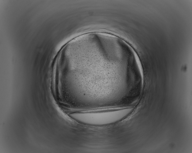 X0000091091526200708271246